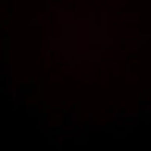 Meet your Posher, Carson